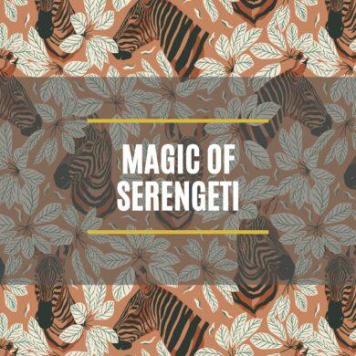 Magic of Serengeti