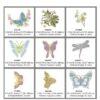 Zundt Designs - Butterflies 2 - Image 2