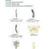 Zundt Designs - Lavender Market Collection - Image 2